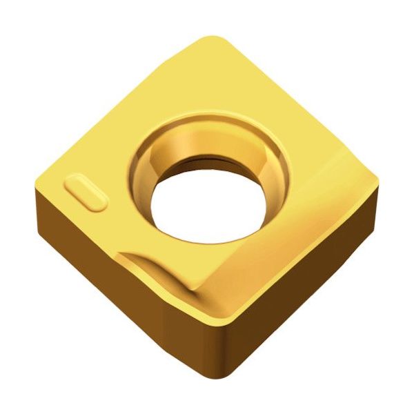 TAEGUTEC ミーリング加工用チップ チェイスPミル 2PKT 050316R-ML TT6080 1セット(10個)（直送品） 7,869円