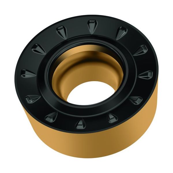 ワルタージャパン Walter 旋削加工用チップ 丸駒ポジタイプ WPP20G RCMT0803M0-RP4 1セット(10個)（直送品）