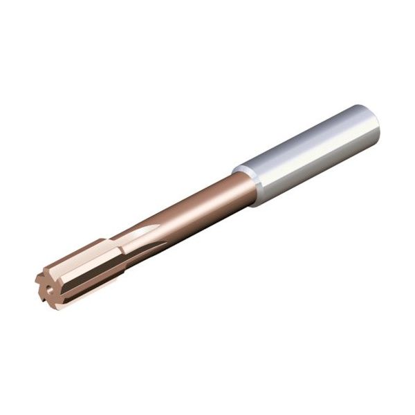 NTKカッティングツールズ TAEGUTEC 超硬ソリッドリーマ TSリーマ止まり穴用 TS-S1200-NS TT5040 1本（直送品）