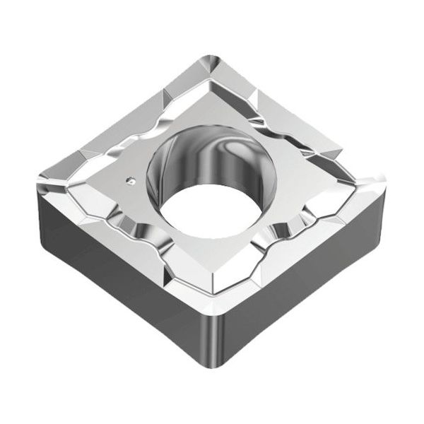 TAEGUTEC 旋削加工用チップ ライノターンECO CNGG 090401 ML TT5080 1セット(10個)（直送品）