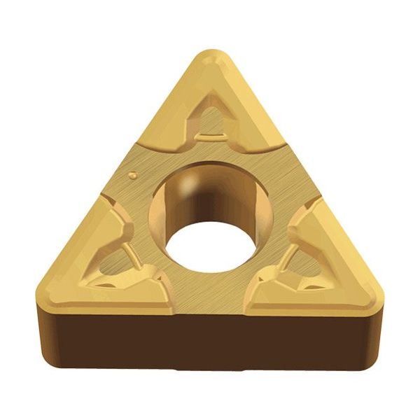 TAEGUTEC 旋削加工用チップ ライノターンECO TNMG 130412 EM TT5080 1セット(10個)（直送品）