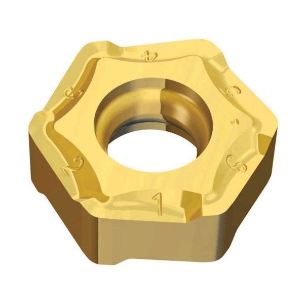 TAEGUTEC ミーリング加工用チップ ヘキサ2ミル HNCX 050410R-MP TT6080 1セット(10個)（直送品）