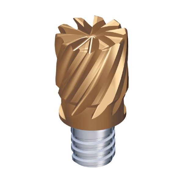 TAEGUTEC 交換式超硬ヘッド マキシラッシュ MXED160L12R05-08S10 5523 1セット(2個)（直送品）