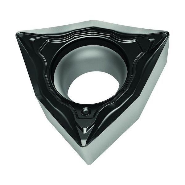 ワルタージャパン Walter トリゴンポジチップ 80° WSM30S WCMT040204-FM4 1セット(10個) 412-0492（直送品）