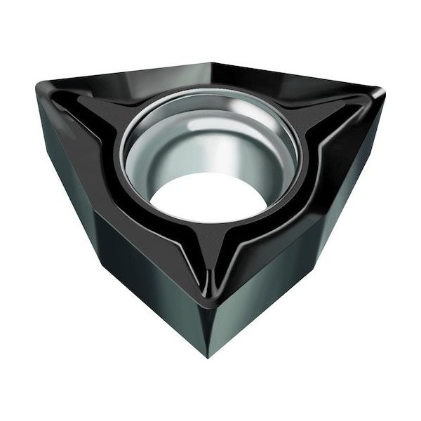 ワルタージャパン Walter トリゴンポジチップ 80° WNN10 WCGT020104-FN2 1セット(10個) 413-1822（直送品）