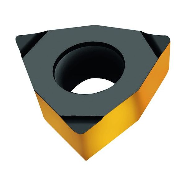 ワルタージャパン Walter トリゴンポジチップ 80° WTP35 WCGT040204-X15 1セット(10個) 404-2923（直送品）