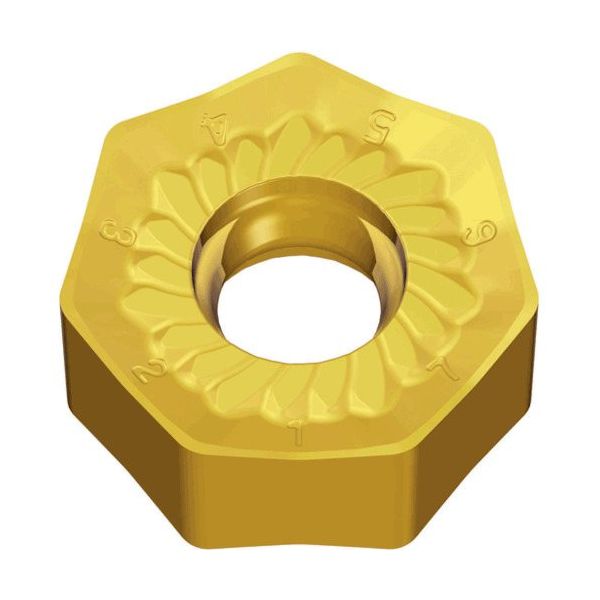 TAEGUTEC ミーリング加工用チップ チェイス2ヘプタ XNHU 0605 ANR-MLW TT8080 1セット(10個)（直送品）