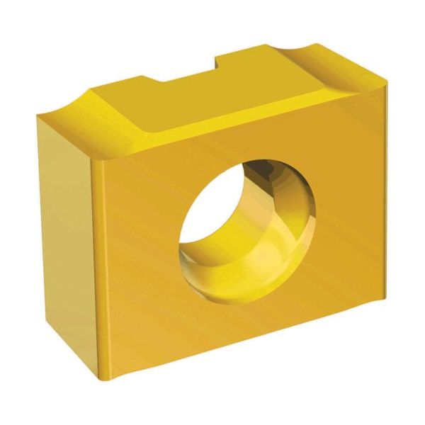 TAEGUTEC ミーリング加工用チップ トップスロット ZNHT 023-04 TT6080 1セット(10個)（直送品）