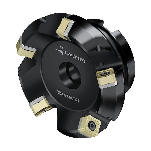 ワルタージャパン Walter フェイスミルカッター M5009ーBボア穴タイプ M5009.102-B38-08-06-AP 1個（直送品） 83,312円