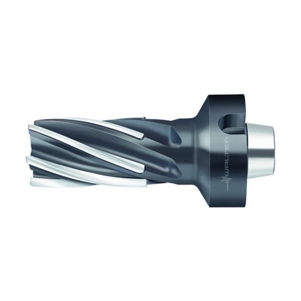 ワルタージャパン Walter ろう付けヘリカル溝削りエンドミル F1682.N6.040.Z06.63.K 1個 412-4885（直送品）