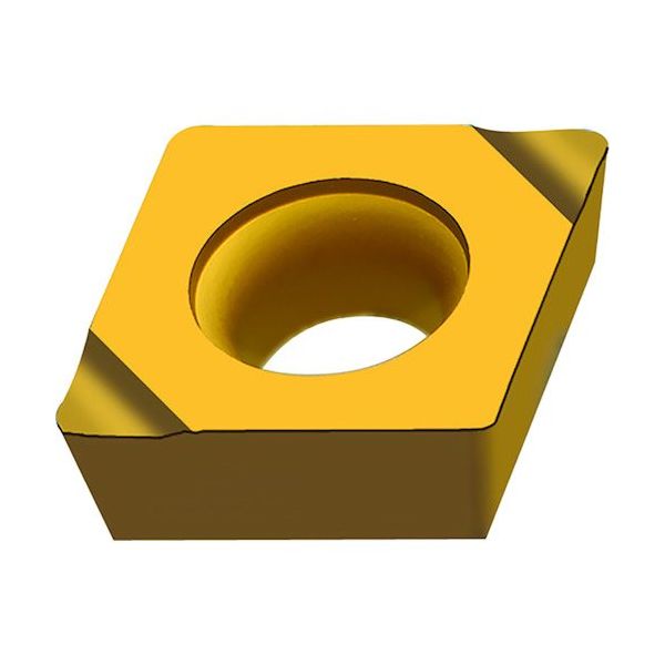 ワルタージャパン Walter ボーリング加工用チップ 80°菱形ポジタイプ WTP35 CCGT060202-X5 1セット(10個)（直送品）