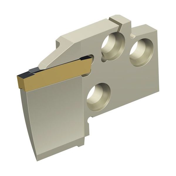 ワルタージャパン Walter 溝入れモジュール 端面溝加工 MSS...E...A MSS-E25L15-GX24-4A70100 1個（直送品）