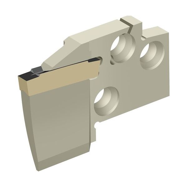 ワルタージャパン Walter 溝入れモジュール 端面溝加工 MSS...E...A MSS-E25R15-GX24-4A150300 1個（直送品）