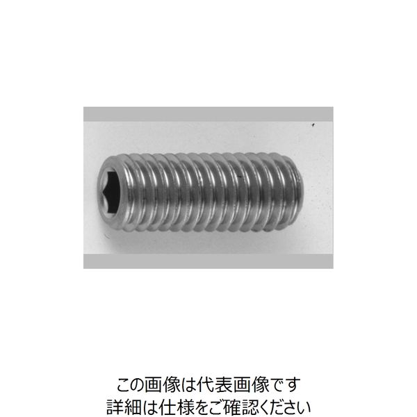 ファスニング J 鋼 六角穴付き止めねじ（ホーローセット）（くぼみ先） 2.5 X 6 A000500M0025006000（直送品）