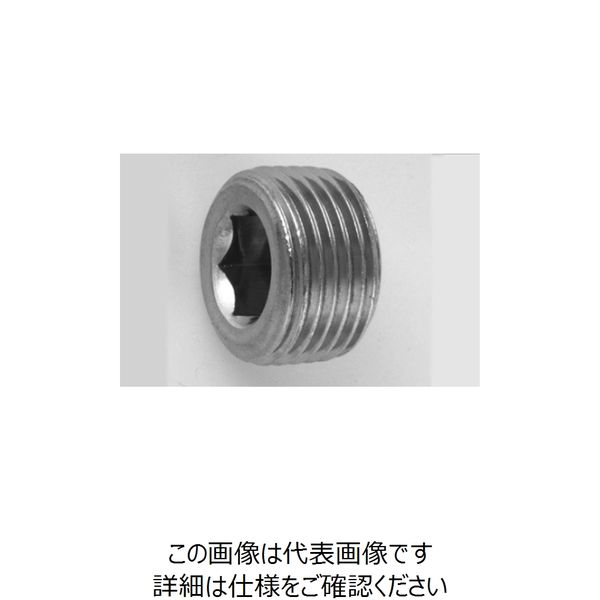 ファスニング J 鋼 六角穴付テーパねじプラグ（浮き） PP3 1”1/2 A000570C8140000000 1箱（25個）（直送品）