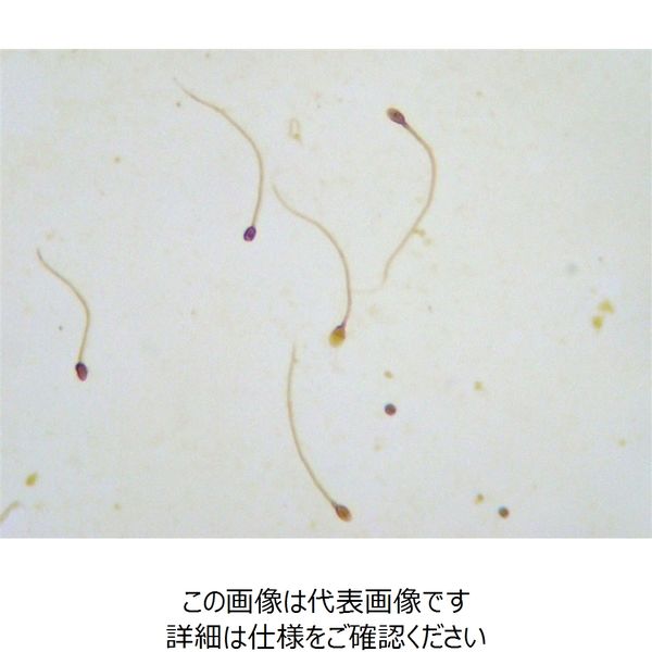 最も優遇 ナリカ 1セット(20枚:10枚×2 L55-8335 精子プレパラート(10枚組) 検査キット