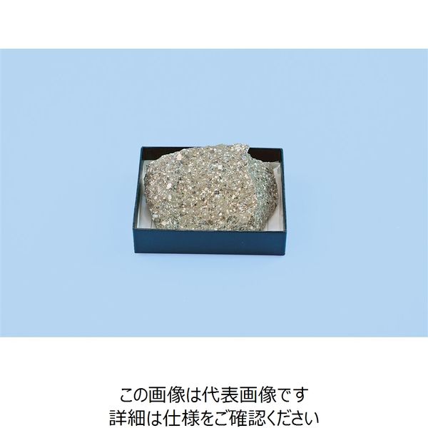 ナリカ 標本用岩石 流紋岩 L55-4170-19 1セット(6箱)（直送品）