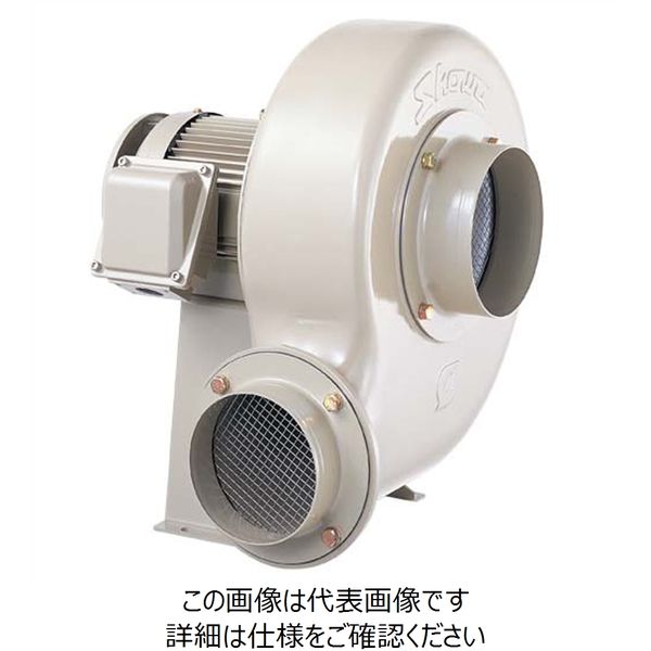 シャモベース強　昭和電機 MJ2-STD/M (WB): ベース｜三木楽器公式通販サイト