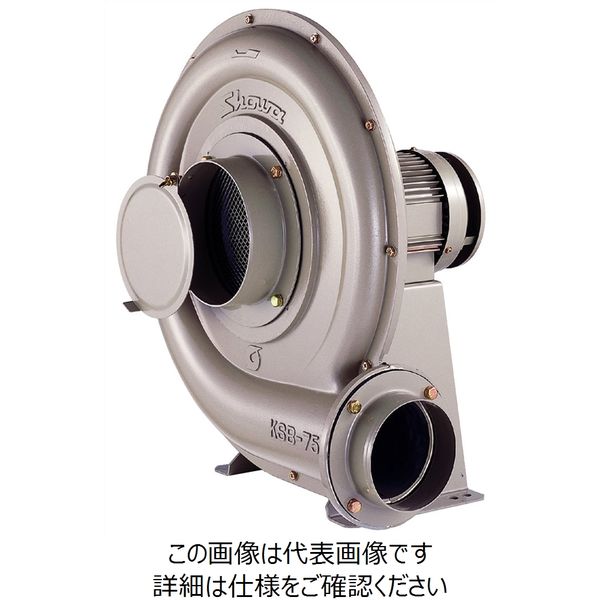 シンワ 発電機 ECO1600M 防災用
