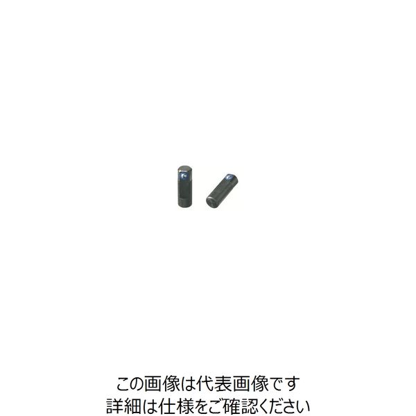 イマオコーポレーション kipp サイドプランジャー WP1N-10 1個 805-9622（直送品）