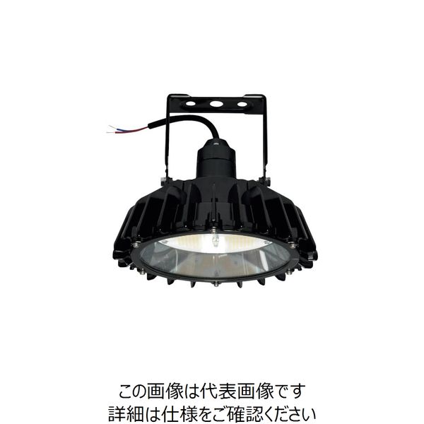 日立 高天井用LEDランプ アームタイプ 特殊環境対応 防湿・防雨形(オイルミスト・粉じん対応) WGBME21CMNC1 1台（直送品）