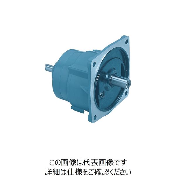 シグマー技研 シグマー 平行軸両軸形0.2Kwフランジ取付形減速機 減速比1/25 WF2-02-25 1台 848-4880（直送品）