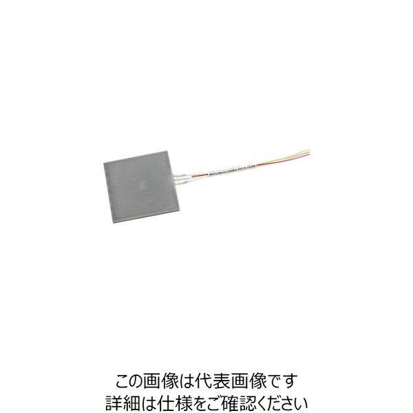 ワトロー WATLOW 小型窒化アルミヒーター ウルトラミック 50×50×3t WALN-2 1個 868-7737（直送品）