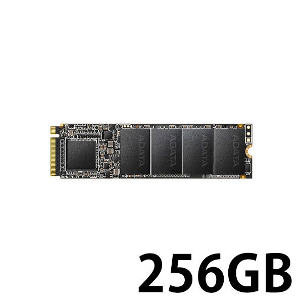 ADATA XPG SX6000 Lite PCIe Gen3 ASX6000LNP-256GT-C（直送品）