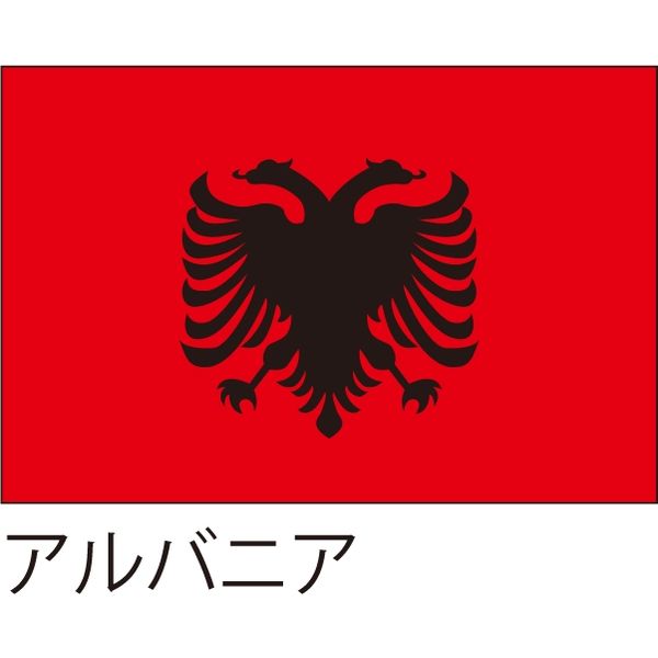 【世界の国旗】服部 応援・装飾用旗 アルバニア 105×70cm ポンジ 1枚（直送品）