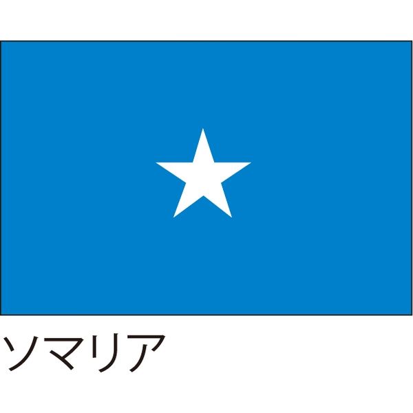 【世界の国旗】服部 応援・装飾用旗 ソマリア 105×70cm ポンジ 1枚（直送品）