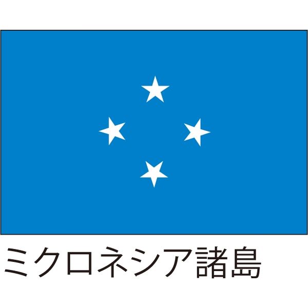 【世界の国旗】服部 応援・装飾用旗 ミクロネシア諸島 135×90cm ポンジ 1枚（直送品）