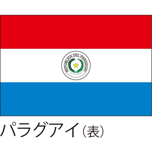 【世界の国旗】服部 応援・装飾用旗 パラグアイ（表） 105×70cm ポンジ 1枚（直送品）