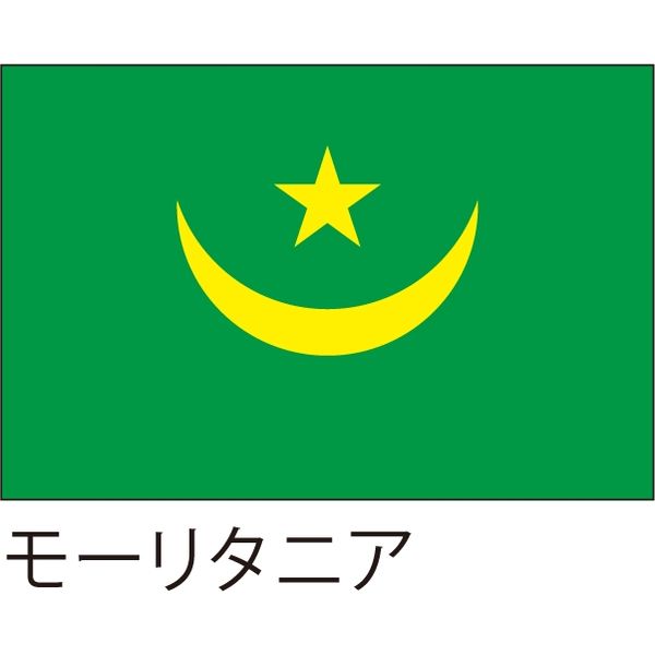 【世界の国旗】服部 応援・装飾用旗 モーリタニア 105×70cm ポンジ 1枚（直送品）