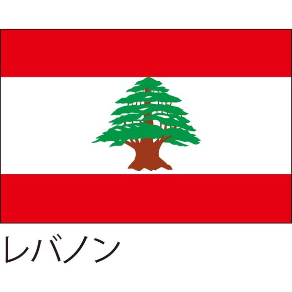 【世界の国旗】服部 応援・装飾用旗 レバノン 105×70cm ポンジ 1枚（直送品）