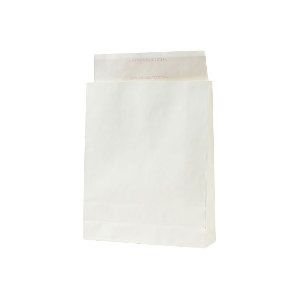 パックタケヤマ 宅配袋 中 白 XZVTHS01 100枚（直送品）