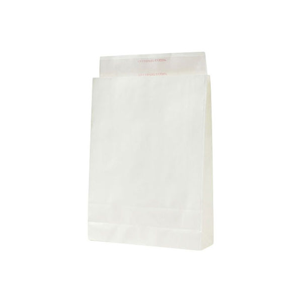 パックタケヤマ 宅配袋 大 白 XZVTHL02 100枚（直送品）