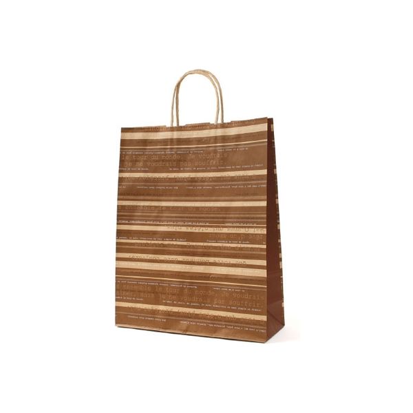 パックタケヤマ 自動手提袋 HZ アンサンブル HZT00686 200枚（50×4）（直送品）