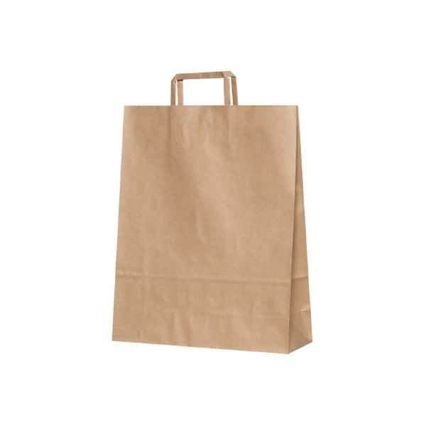 パックタケヤマ 紙袋 平紐 2才 茶無地 XZT69852 200枚（50×4）（直送品）