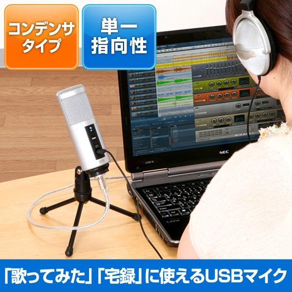 サンワダイレクト スタンドマイク（USB・単一指向性・コンデンサータイプ・高音質） 400-MC002 1個（直送品）