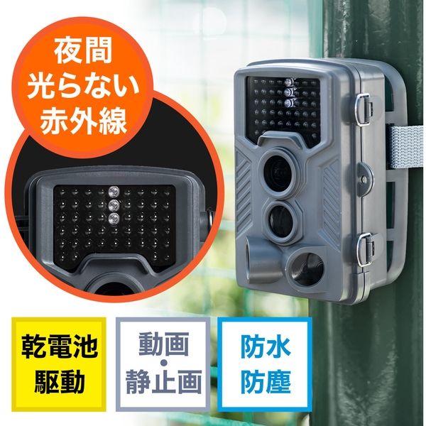 サンワダイレクト 防犯カメラ トレイルカメラ 400-CAM067 1台（直送品