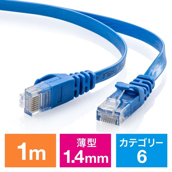 サンワダイレクト Cat6 フラットLANケーブル 1m （カテゴリー6・より線・ストレート・ブルー） 500-LAN6FL01BL 1本（直送品）