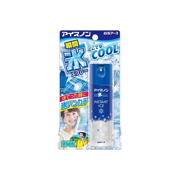 白元アース アイスノン 瞬間氷スプレー 4902407024527 1セット（6個）（直送品）
