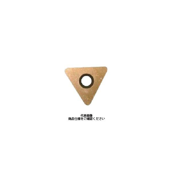 日本高周波鋼業 高周波 プレナチップ PL60907 1個 815-8851（直送品） 7,282円