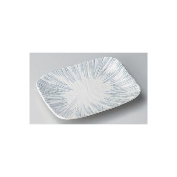 アースモス 美濃焼 焼物皿 白さざれ彫焼物皿 (4個入)（直送品）