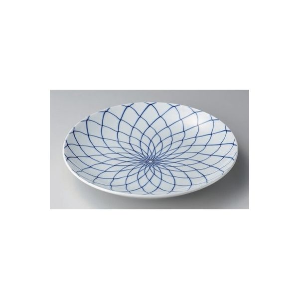 アースモス 有田焼 有田焼大皿 手描網9号皿 (1個入)（直送品） 8,833円