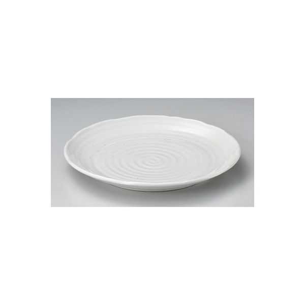 アースモス 美濃焼 丸皿（大） 白粉引釉9.7皿 (4個入)（直送品）