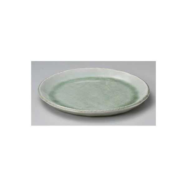 アースモス 美濃焼 丸皿（大） 白雲9.0丸皿 (2個入)（直送品）