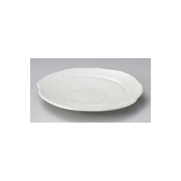 アースモス 美濃焼 丸皿（大） 白波型9.0皿 (2個入)（直送品）