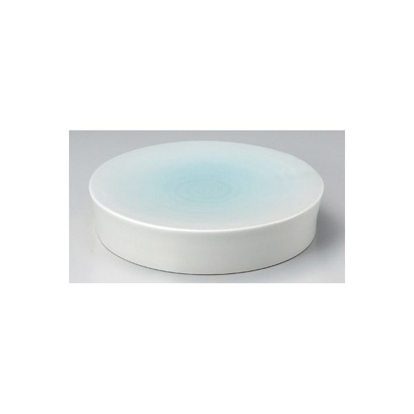 アースモス 美濃焼 丸皿（大） 青白磁8寸水面皿 (1個入)（直送品）