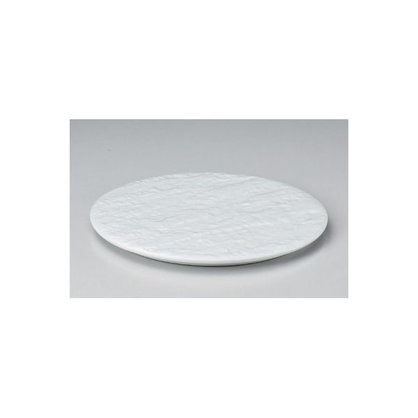 アースモス 美濃焼 丸皿（中） 白磁雲海丸24cm皿 (2個入)（直送品）
